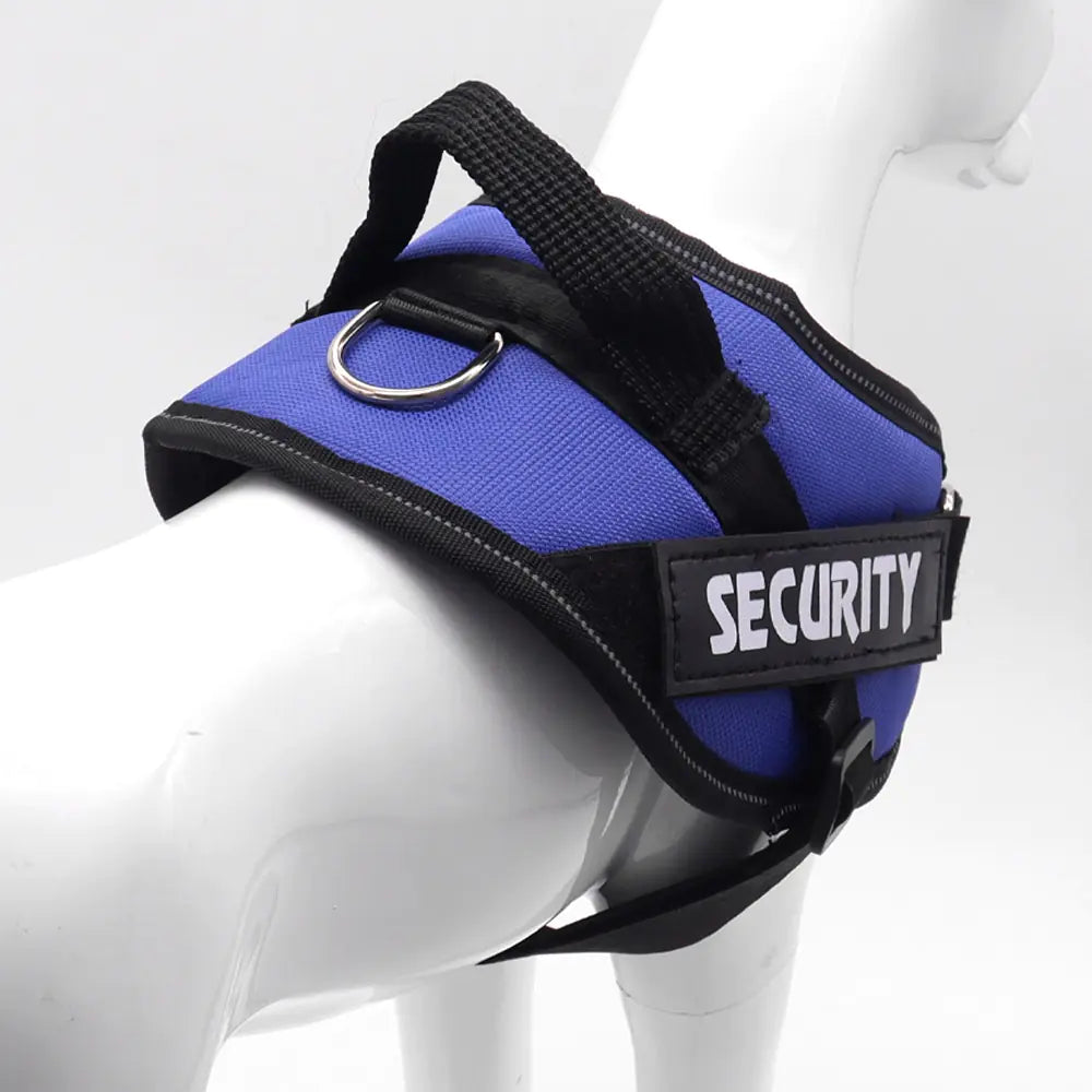 Chest Strap for Pet Dog Harness and Leash