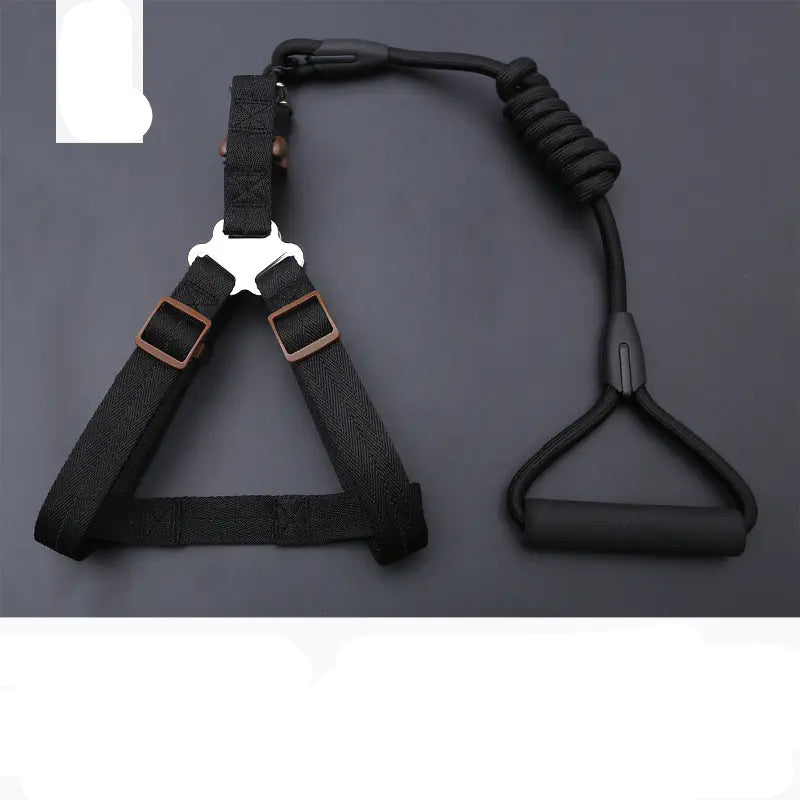 Golden Retriever Teddy Dog Leash and Chest Strap Collar