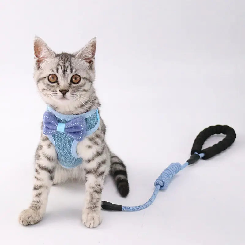 Pet Chest and Back Leash for Comfortable Walking