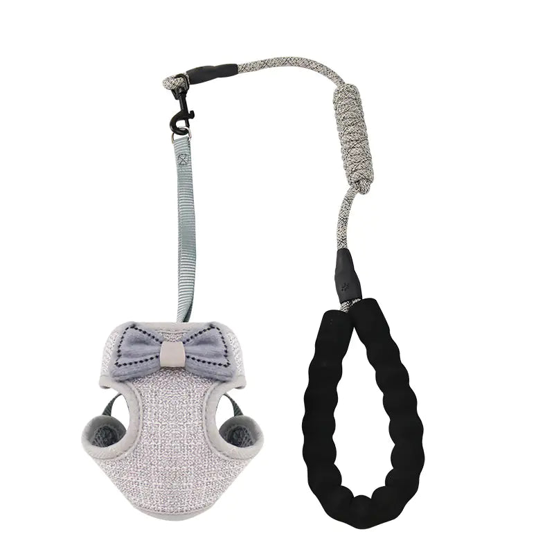 Pet Chest and Back Leash for Comfortable Walking