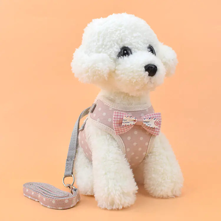 Dog Chest Strap and Cat Leash Combo
