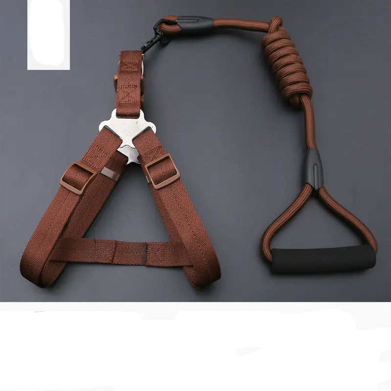 Golden Retriever Teddy Dog Leash and Chest Strap Collar