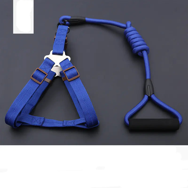 Golden Retriever Teddy Dog Leash and Chest Strap Collar