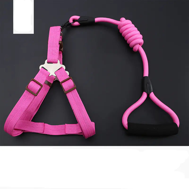 Golden Retriever Teddy Dog Leash and Chest Strap Collar