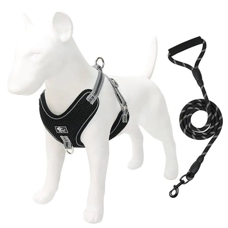 Pet Chest Strap with Dog Leash